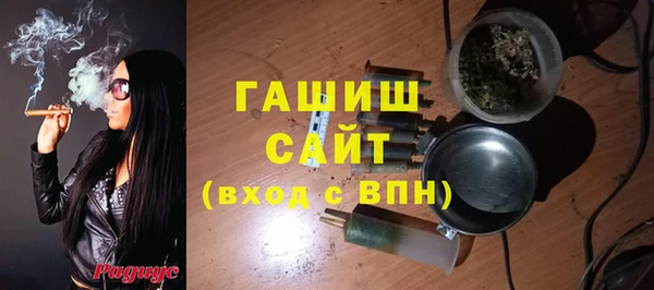 стаф Алексин