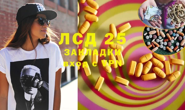 стаф Алексин