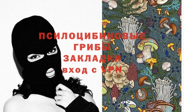 соль курить ск Алексеевка