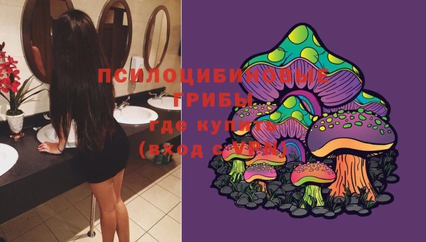 соль курить ск Алексеевка