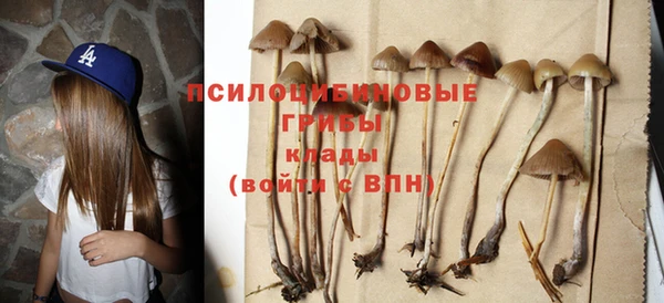 стаф Алексин