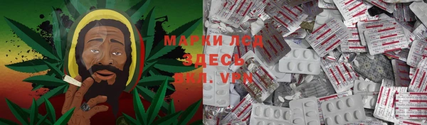 стаф Алексин